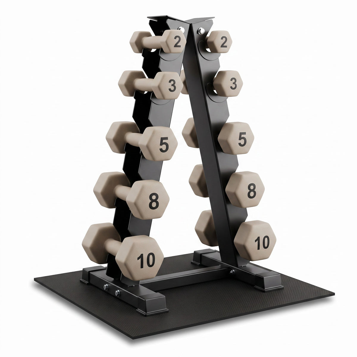 Aurorafy Neoprene Dumbbell Workout Set with Rack, 2, 3, 5, 8, & 10lbs, Beige
