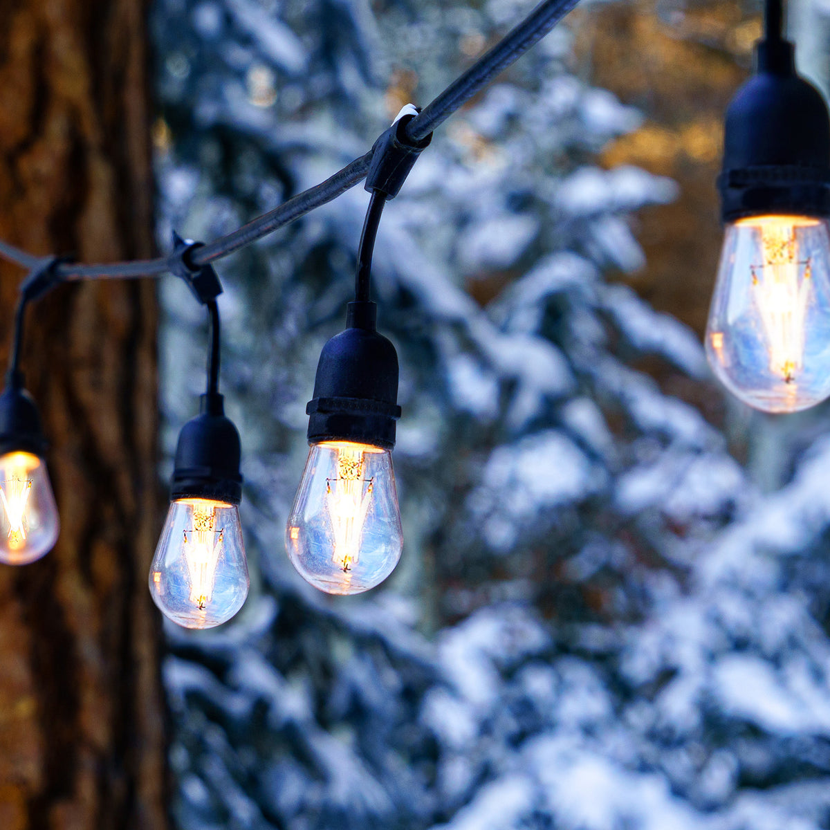 Brightech Ambience Pro Edison White LED Outdoor String Lights, 48 Ft. (2 Pack)