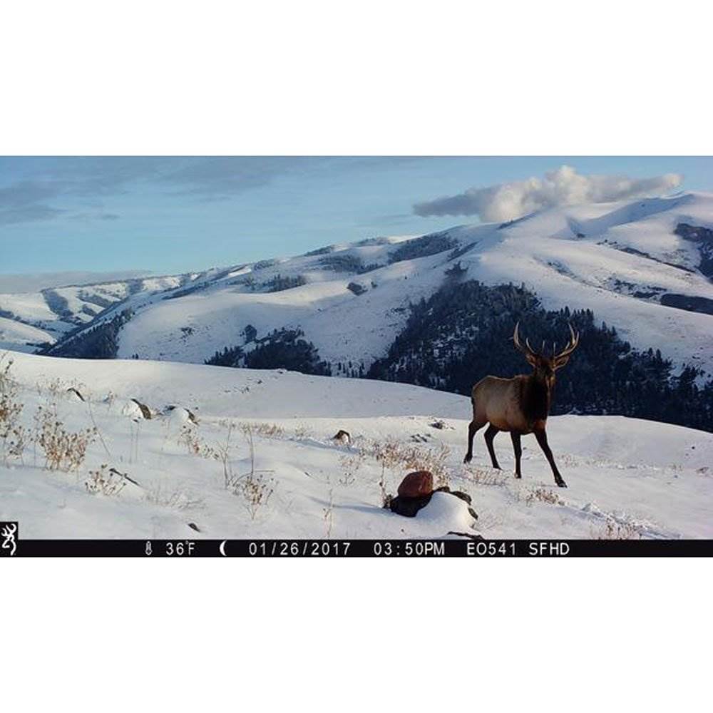 Browning 2018 Strike Force Pro XD Dual Lens Technology Camoflage Hunting Camera