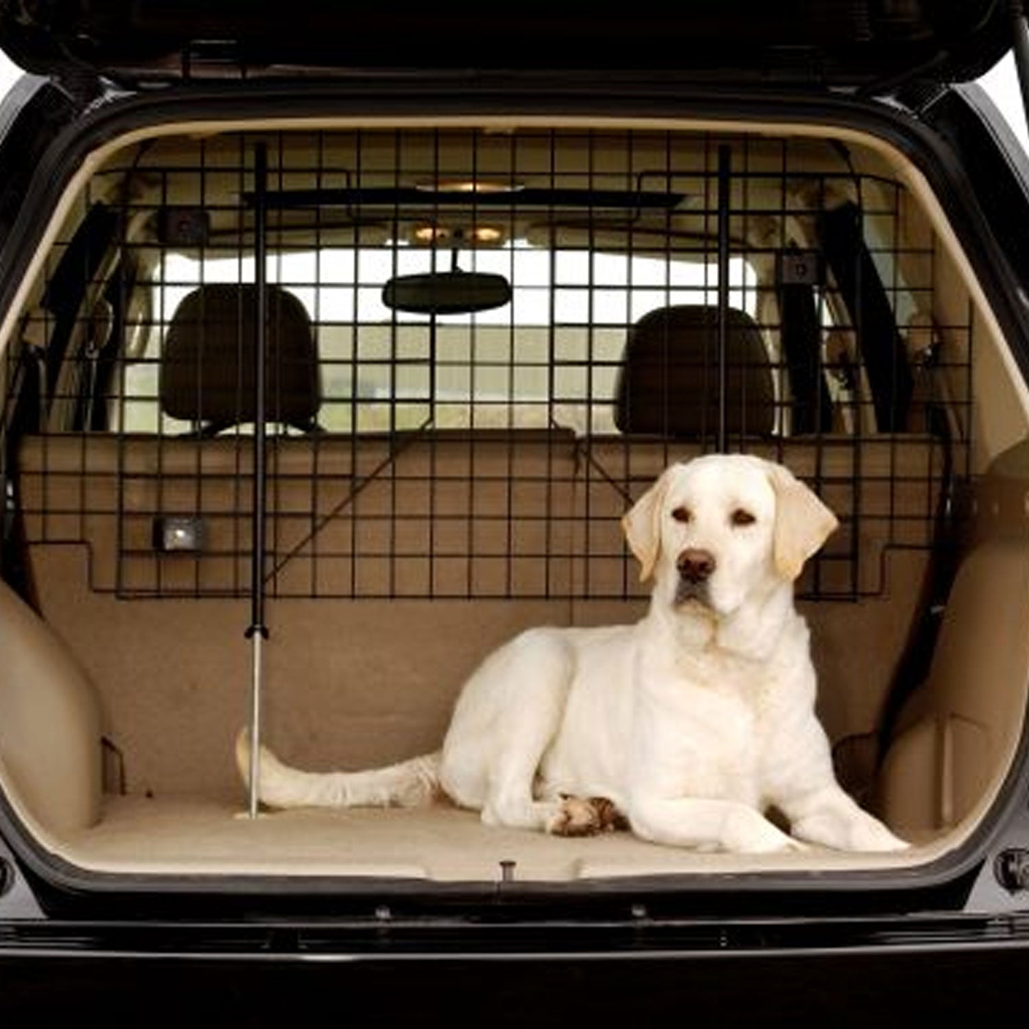 Little Giant Pet Lodge 2 Way Adjustable Wire Mesh Auto Dog & Cat Vehicle Barrier - VMInnovations