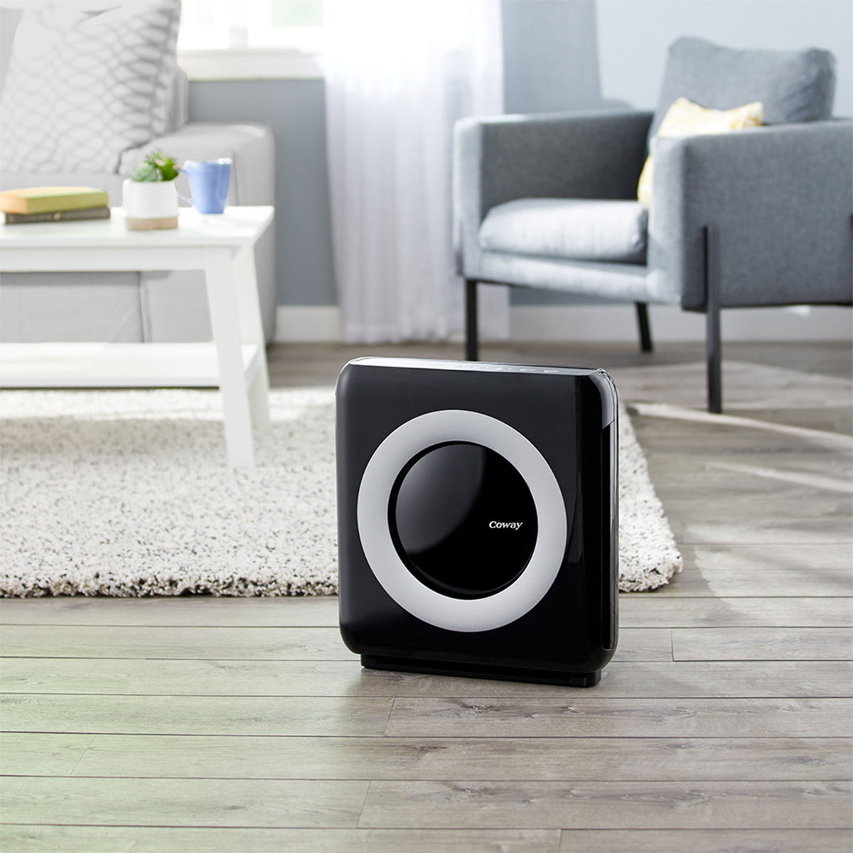Coway AP-1512HH Mighty Home Air Purifier Cleaner with True HEPA and Eco Mode