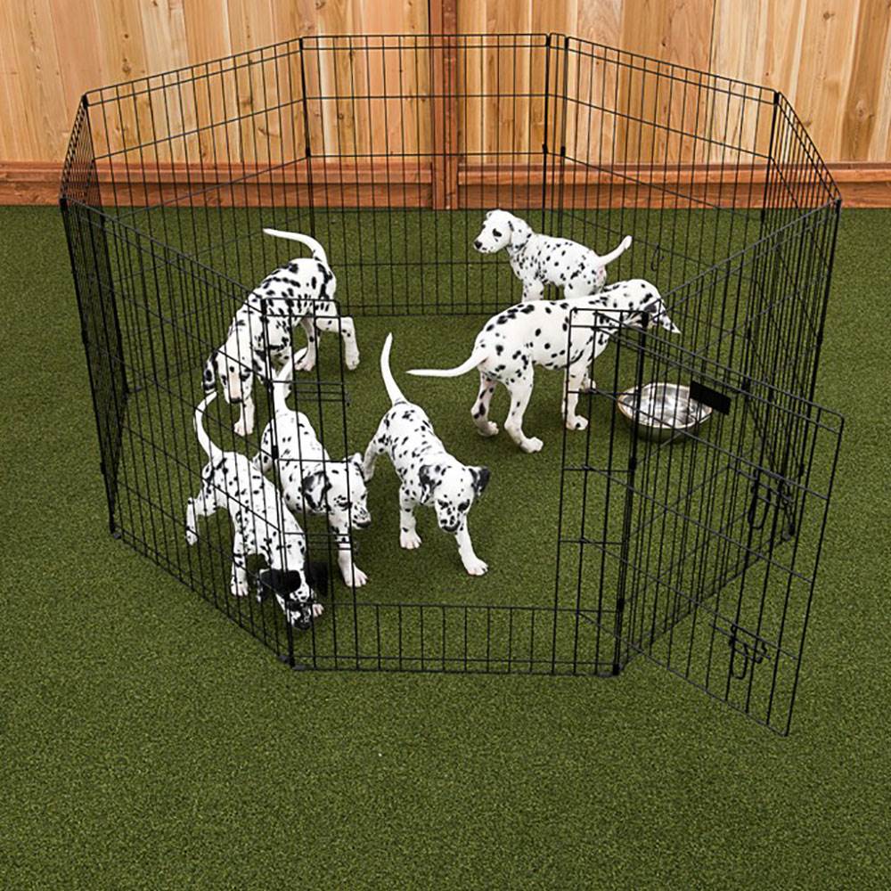 Lucky Dog Modular Pet Indoor Outdoor Portable Puppy Play Pen, 24in (Used)