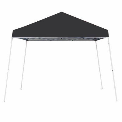 Z-Shade 10' x 10' Angled Leg Instant Black Canopy Shelter with Screen & Weights - VMInnovations
