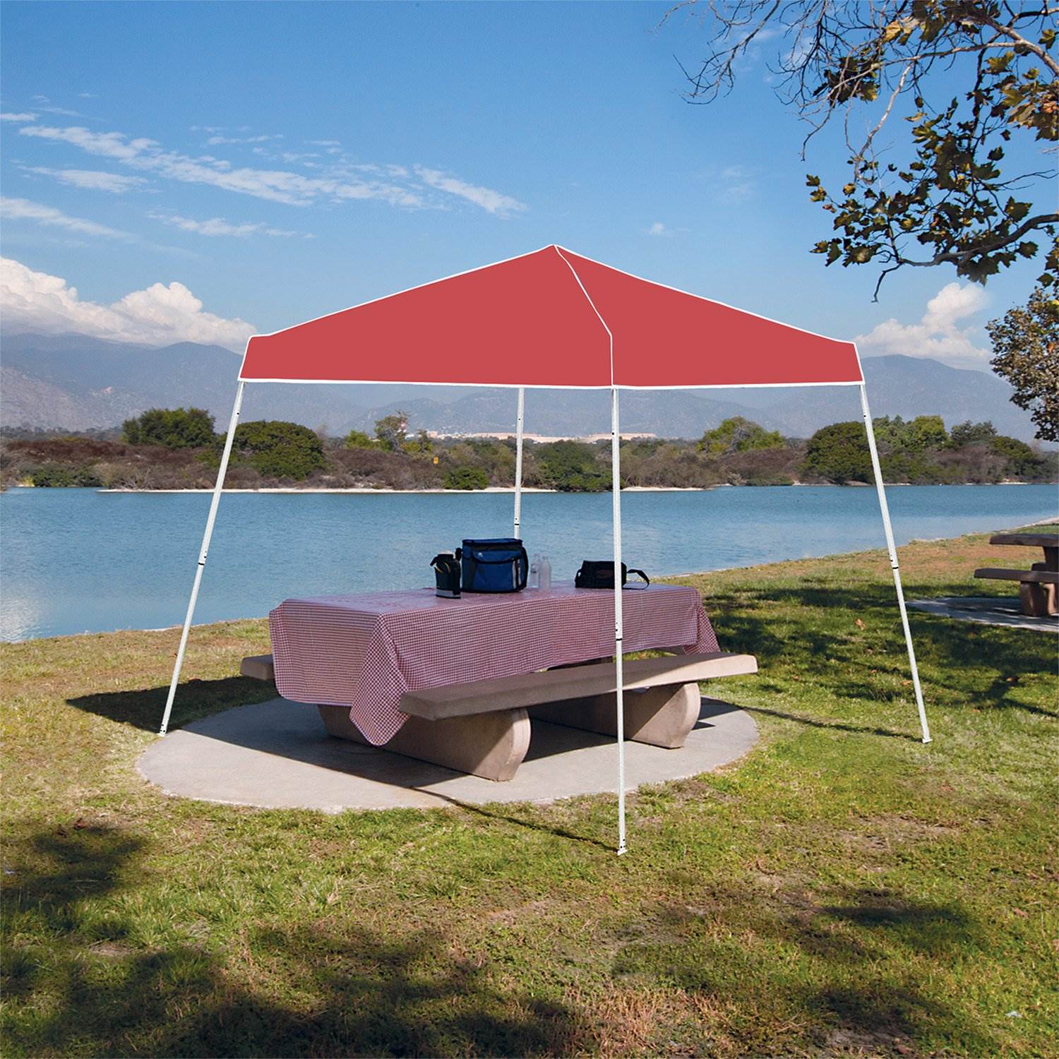 Z-Shade 10' x 10' Angled Leg Instant Shade Canopy Tent with Steel Stakes + Case