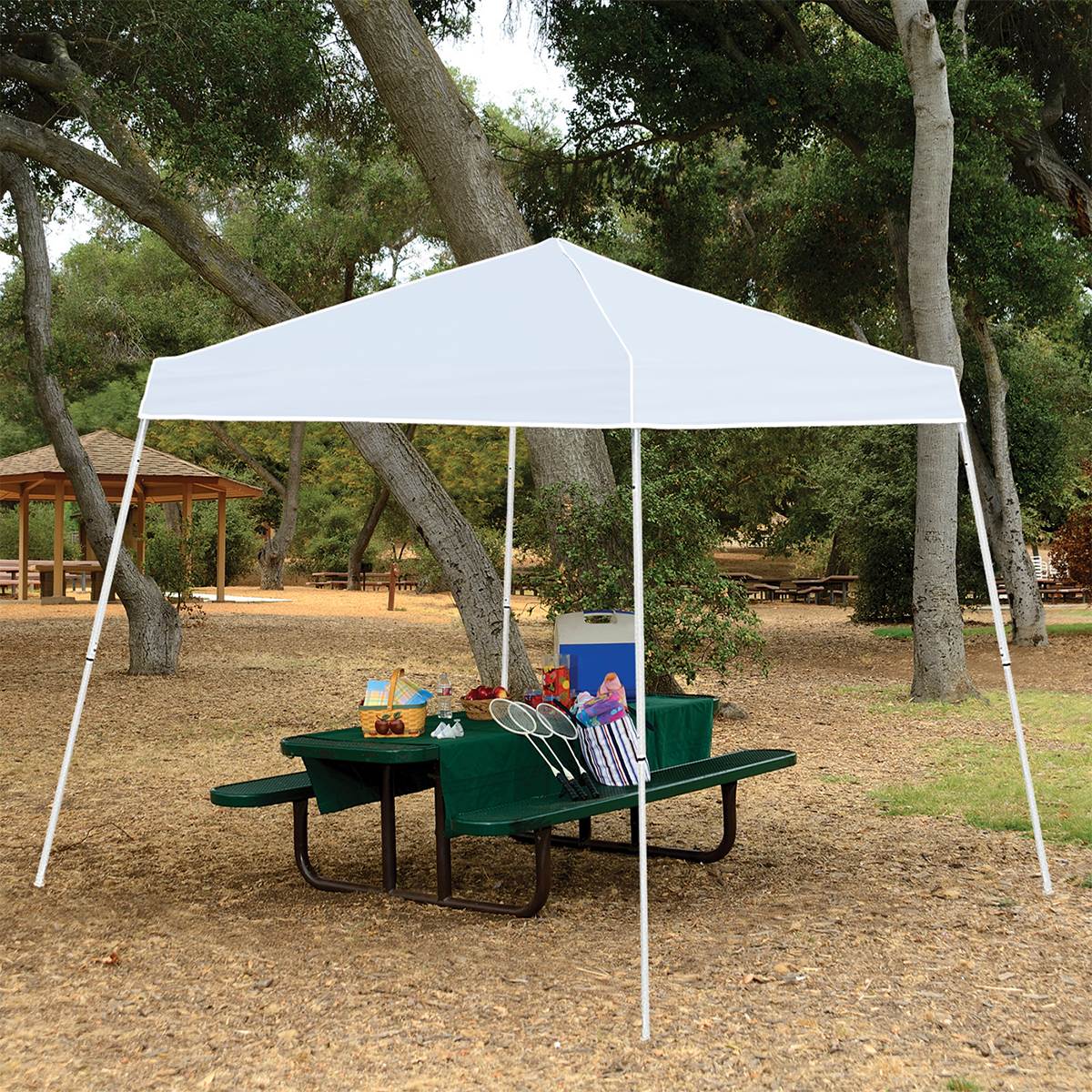 Z-Shade 10' x 10' Canopy Tent + Z-Shade Canopy Tent 4 Pack Stake Kit w/ Case