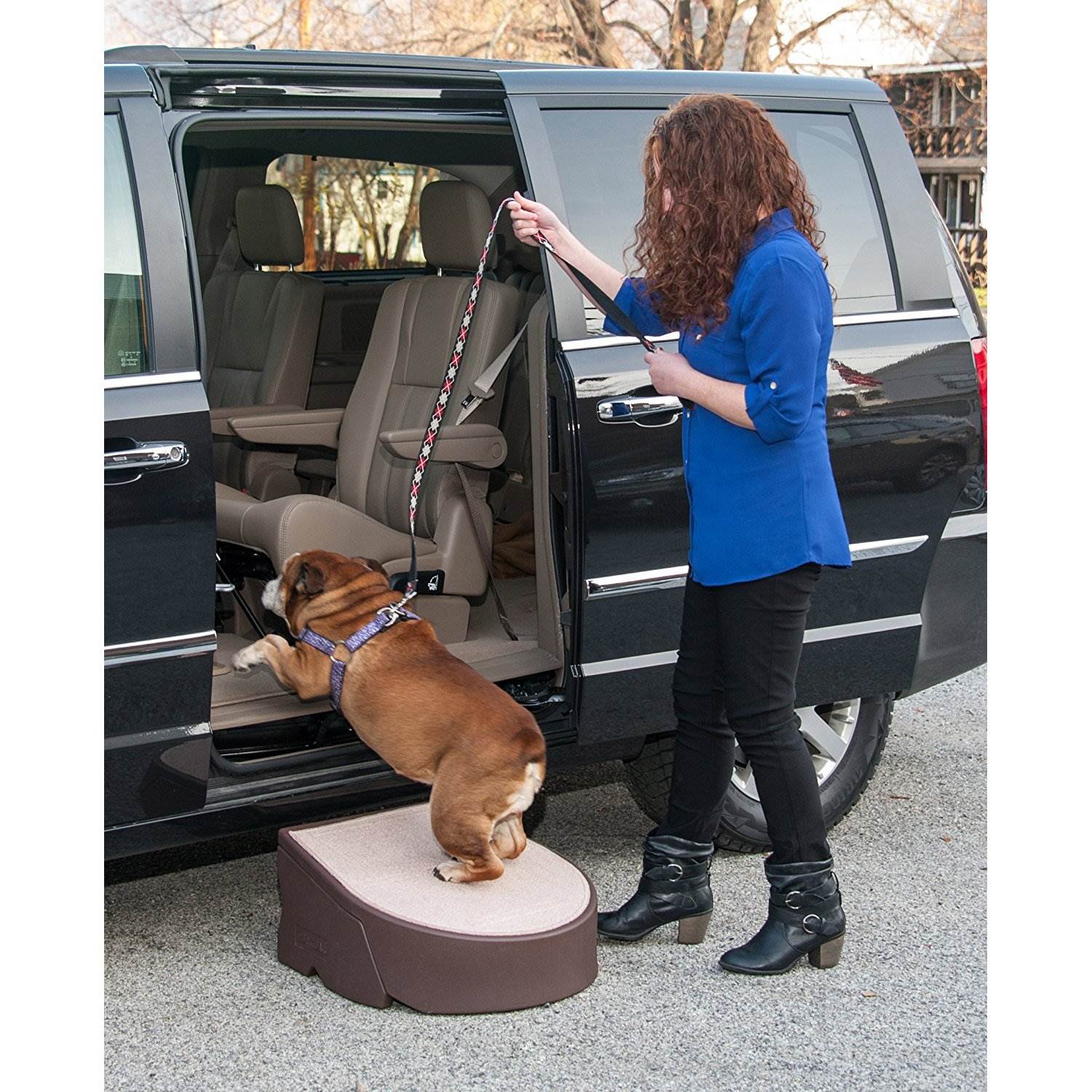 Pet Gear Portable Plastic Incline Indoor Outdoor Pet One Step, Brown (Open Box)