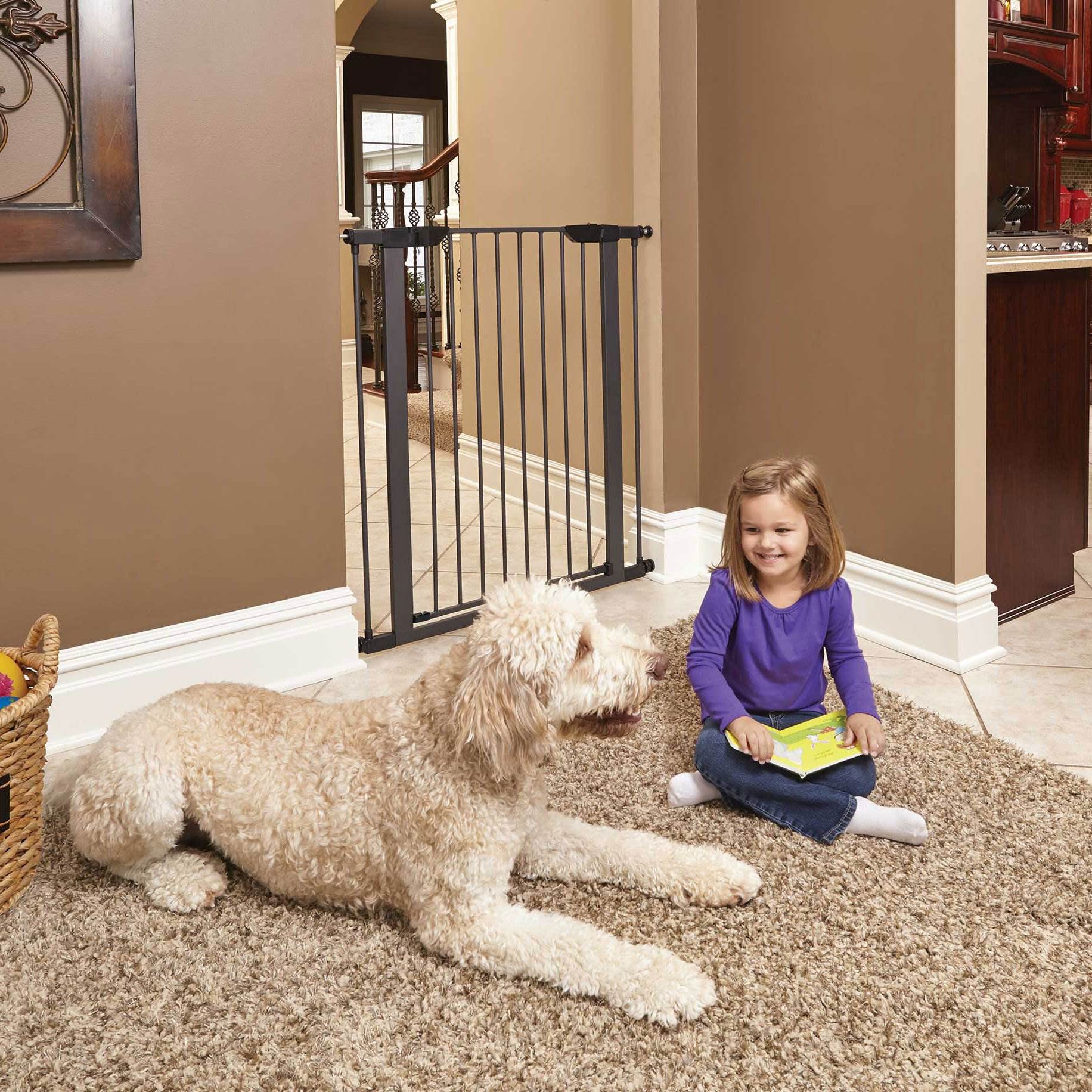 MidWest Homes for Pets 39-Inch Tall Dog Pet Puppy Gate, Graphite (Open Box)