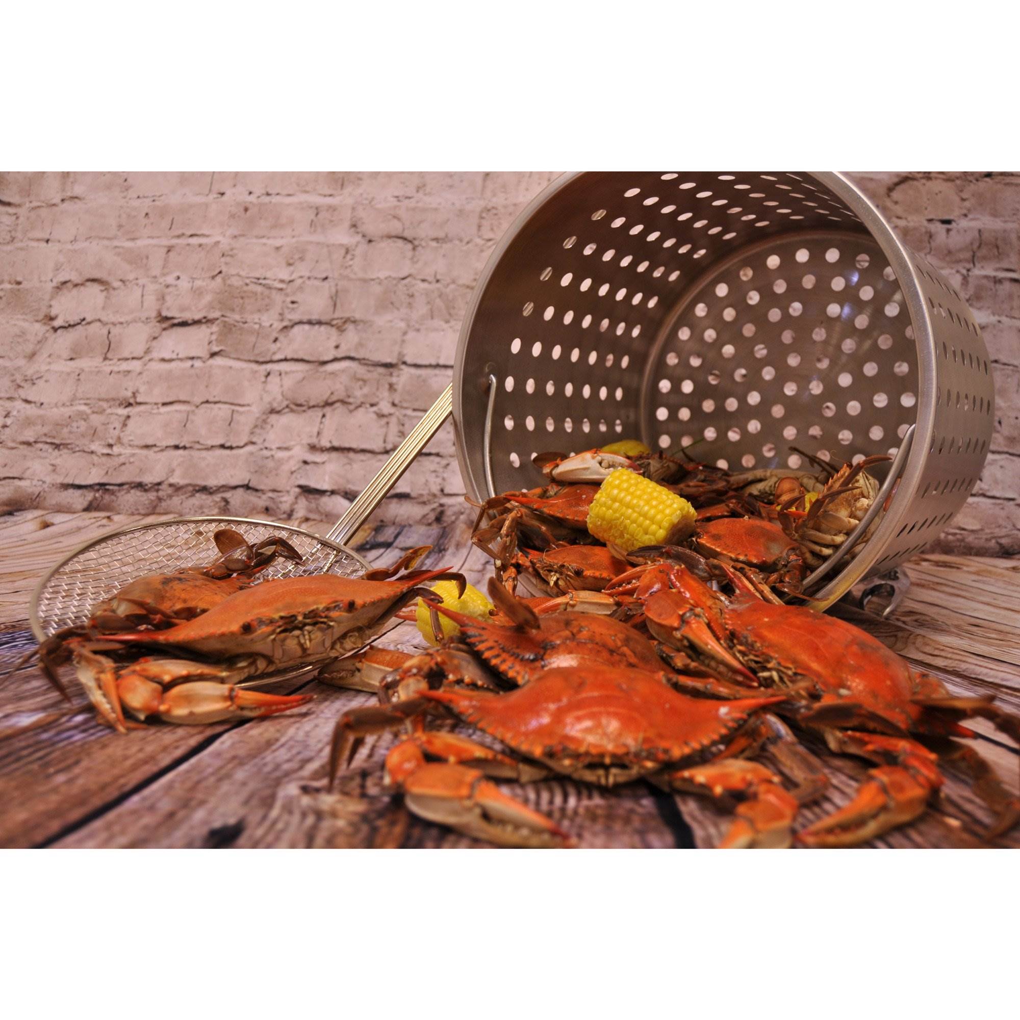 Bayou Classic Large 36 Qt Stainless Steel Stockpot/Steamer & Handy Basket (Used) - VMInnovations