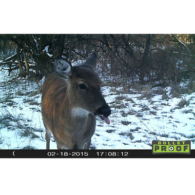 Primos Game Camera (Certified Refurbished) (2 Pack) + 16GB SD Card (2 Pack)