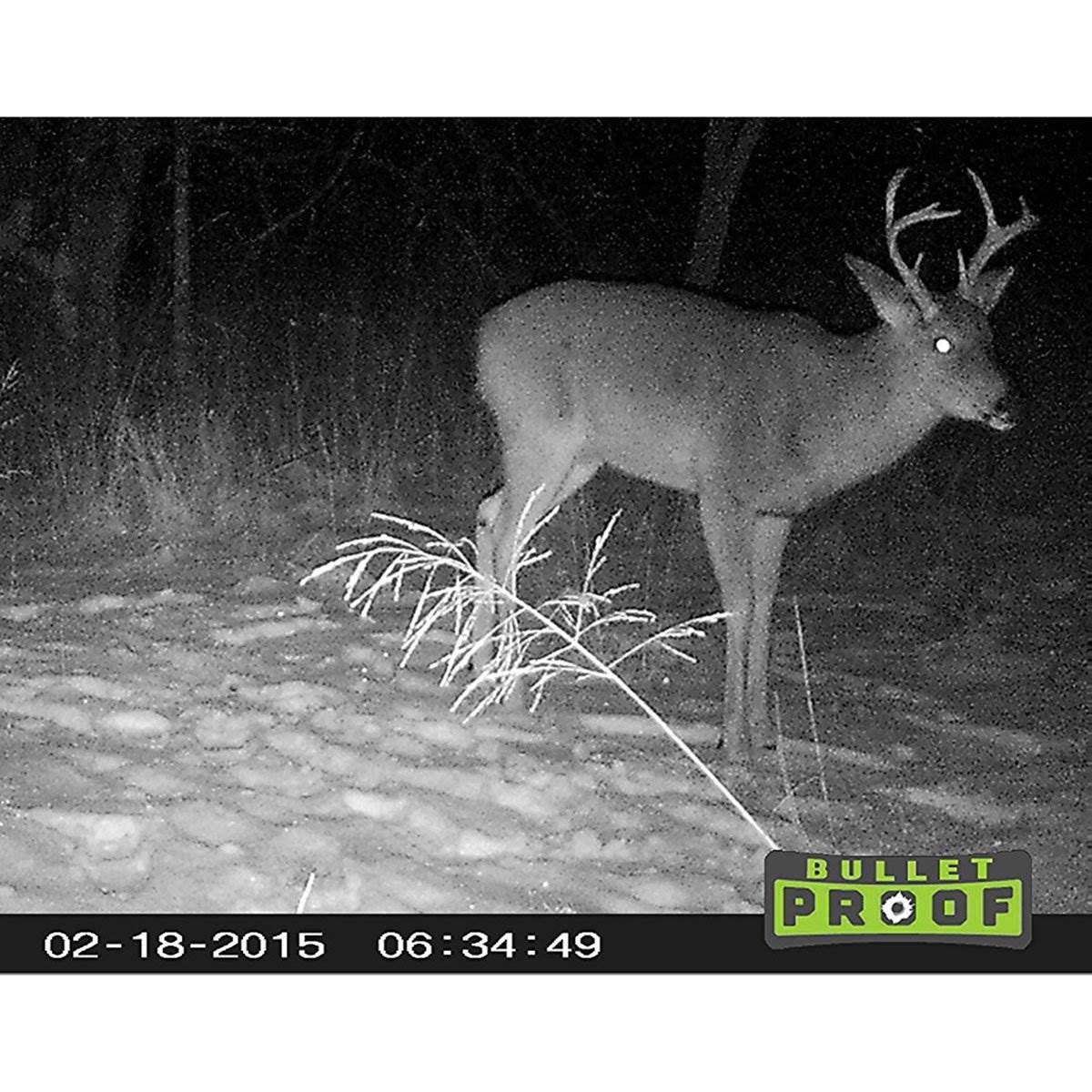 Primos Game Camera (Certified Refurbished) (2 Pack) + 16GB SD Card (2 Pack)