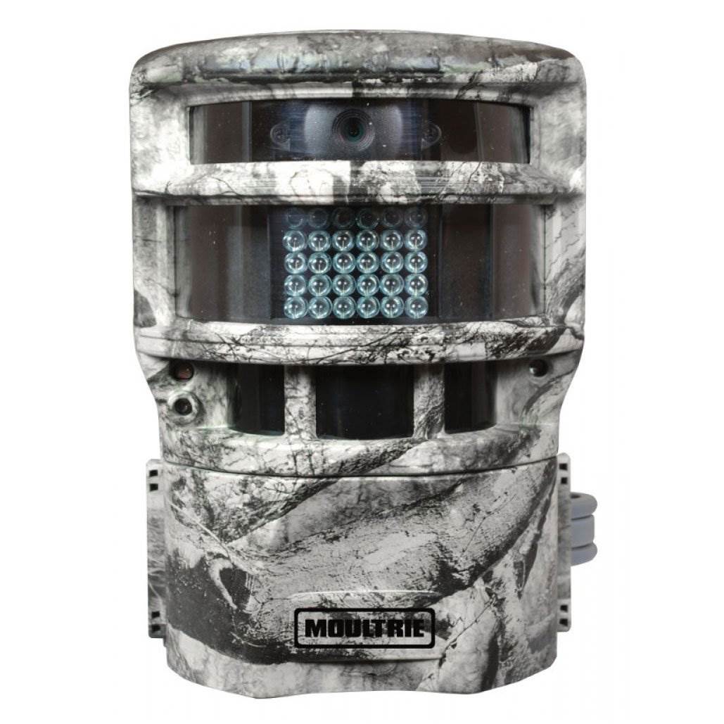 Moultrie P150 8MP Trail Camera (2 Pack) + SanDisk 16GB SD Memory Card (2 Pack)