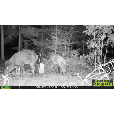 Primos Hunting Bullet Proof 2 Low Glow HD Game Trail Camera (2 Pack) + SD Cards