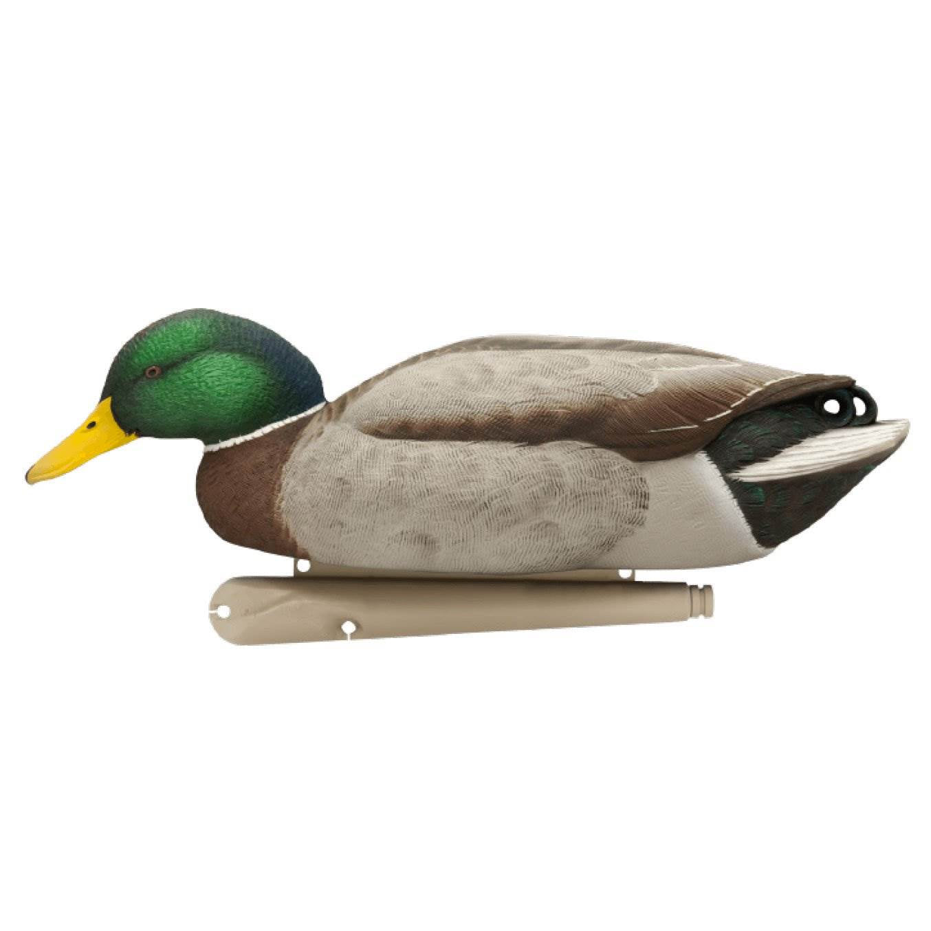 Avian X TopFlight Floating Backwater Feeder Mallard Duck Hunting Decoys, 6 Pack