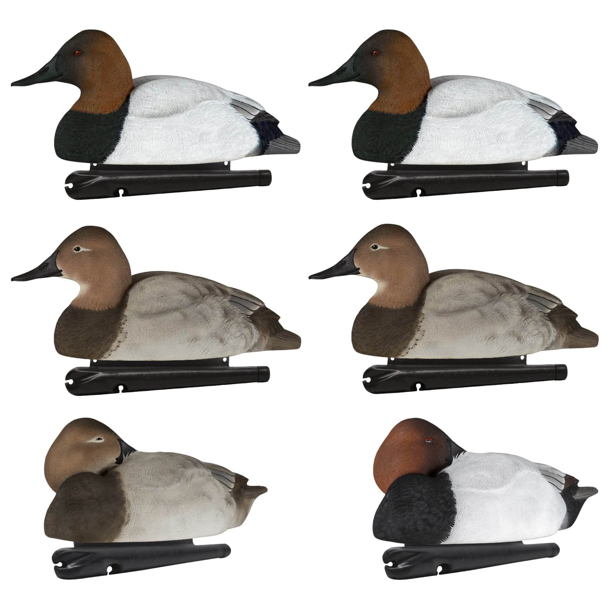 Avian X Top Flight Floating Canvasback Duck Waterfowl Hunting Decoys (6 Pack)