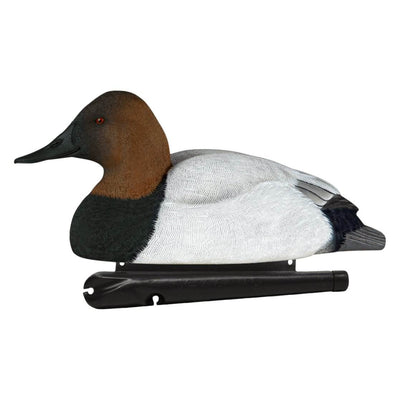 Avian X Top Flight Floating Canvasback Duck Waterfowl Hunting Decoys (6 Pack)