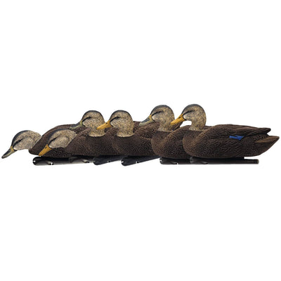 Avian-X Top Flight Black Ducks Hunting Decoys, Brown (6 Pack) (Used)