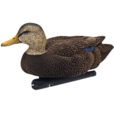 Avian-X Top Flight Black Ducks Hunting Decoys, Brown (6 Pack) (Used)
