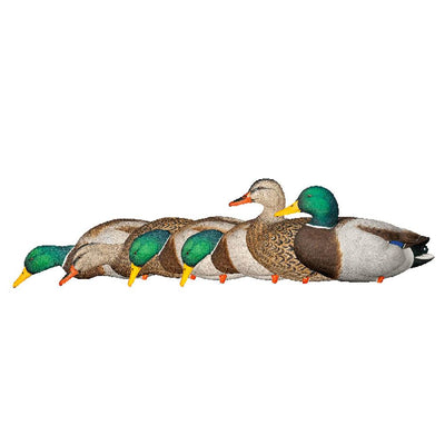 Avian X Top Flight Full Body Mallard Duck Hunting Floater Decoys, Green (6 Pack)
