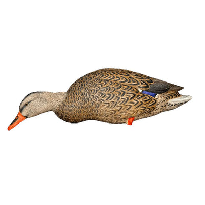 Avian X Top Flight Full Body Mallard Duck Hunting Floater Decoys, Green (6 Pack)