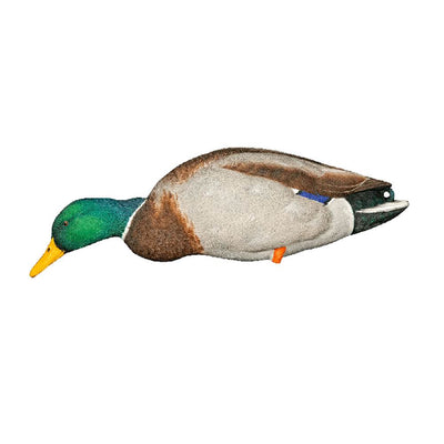 Avian X Top Flight Full Body Mallard Duck Hunting Floater Decoys, Green (6 Pack)