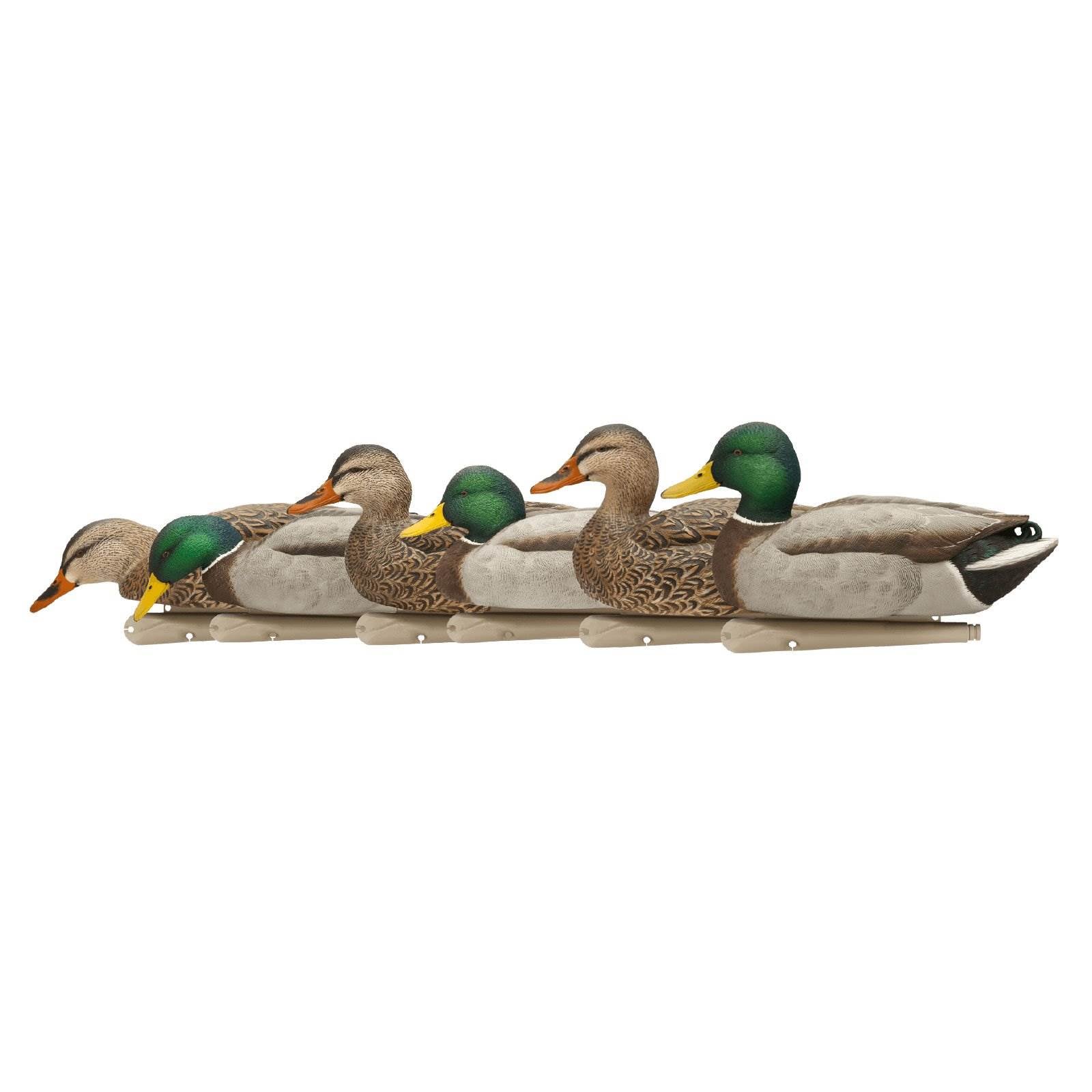 Avian X TopFlight Fusion Feeder Mallard Duck Hunting Decoys (6 Pack) (Open Box) - VMInnovations