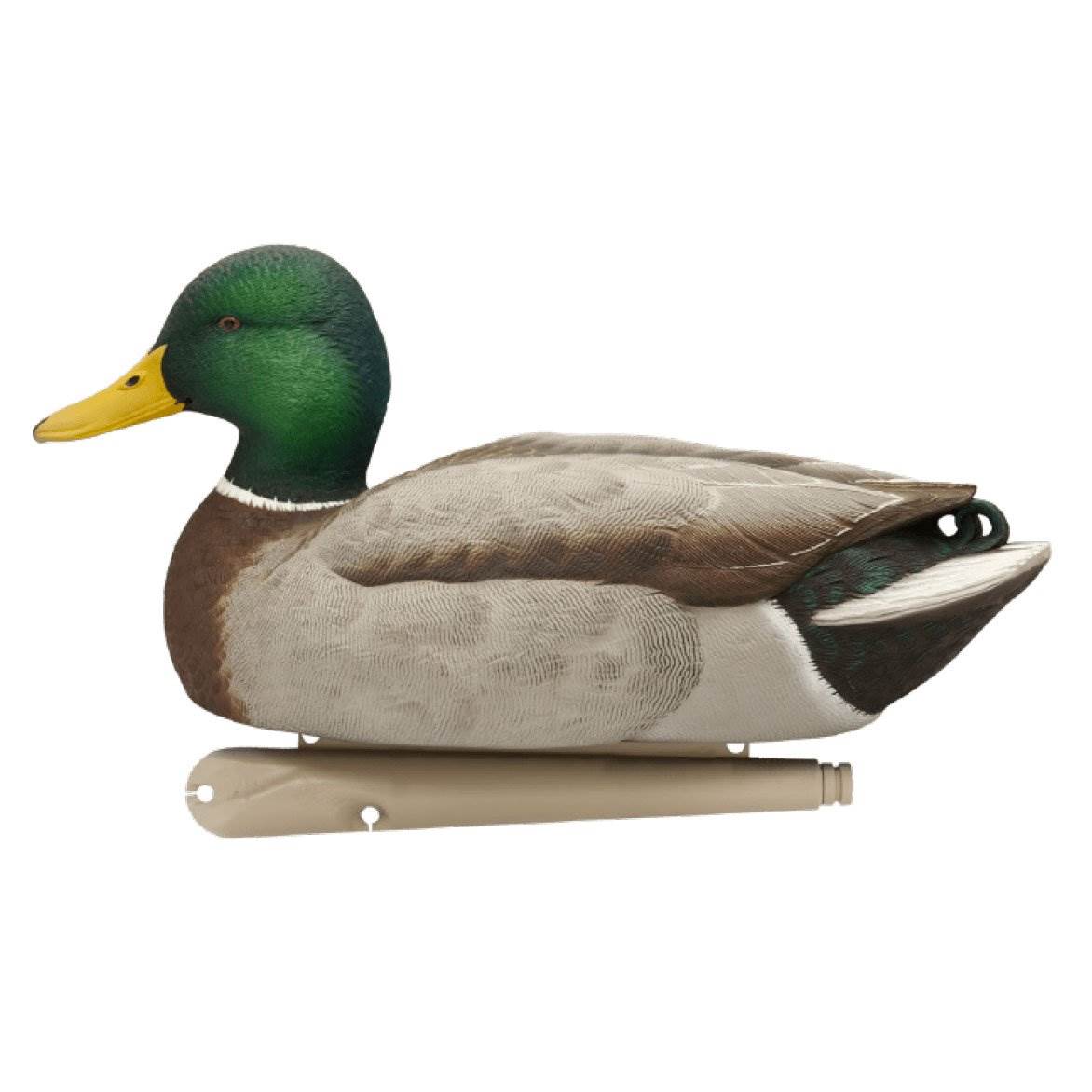 Avian X TopFlight Fusion Feeder Mallard Duck Hunting Decoys (6 Pack) (Open Box) - VMInnovations