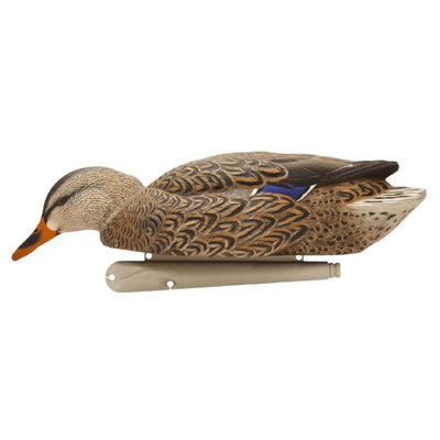Avian X TopFlight Fusion Feeder Mallard Duck Hunting Decoys (6 Pack) (Open Box) - VMInnovations