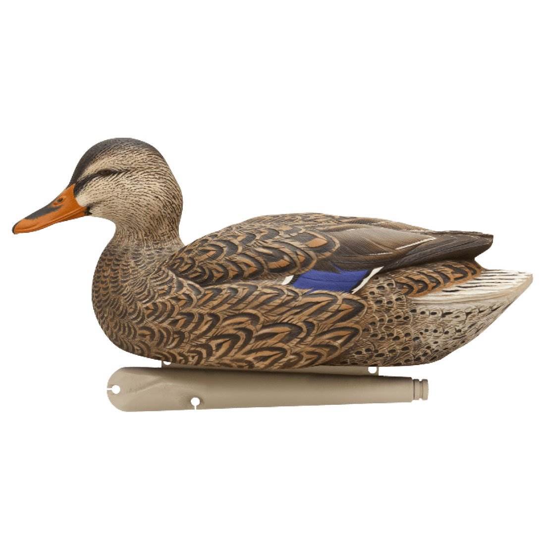 Avian X TopFlight Fusion Feeder Mallard Duck Hunting Decoys (6 Pack) (Open Box) - VMInnovations