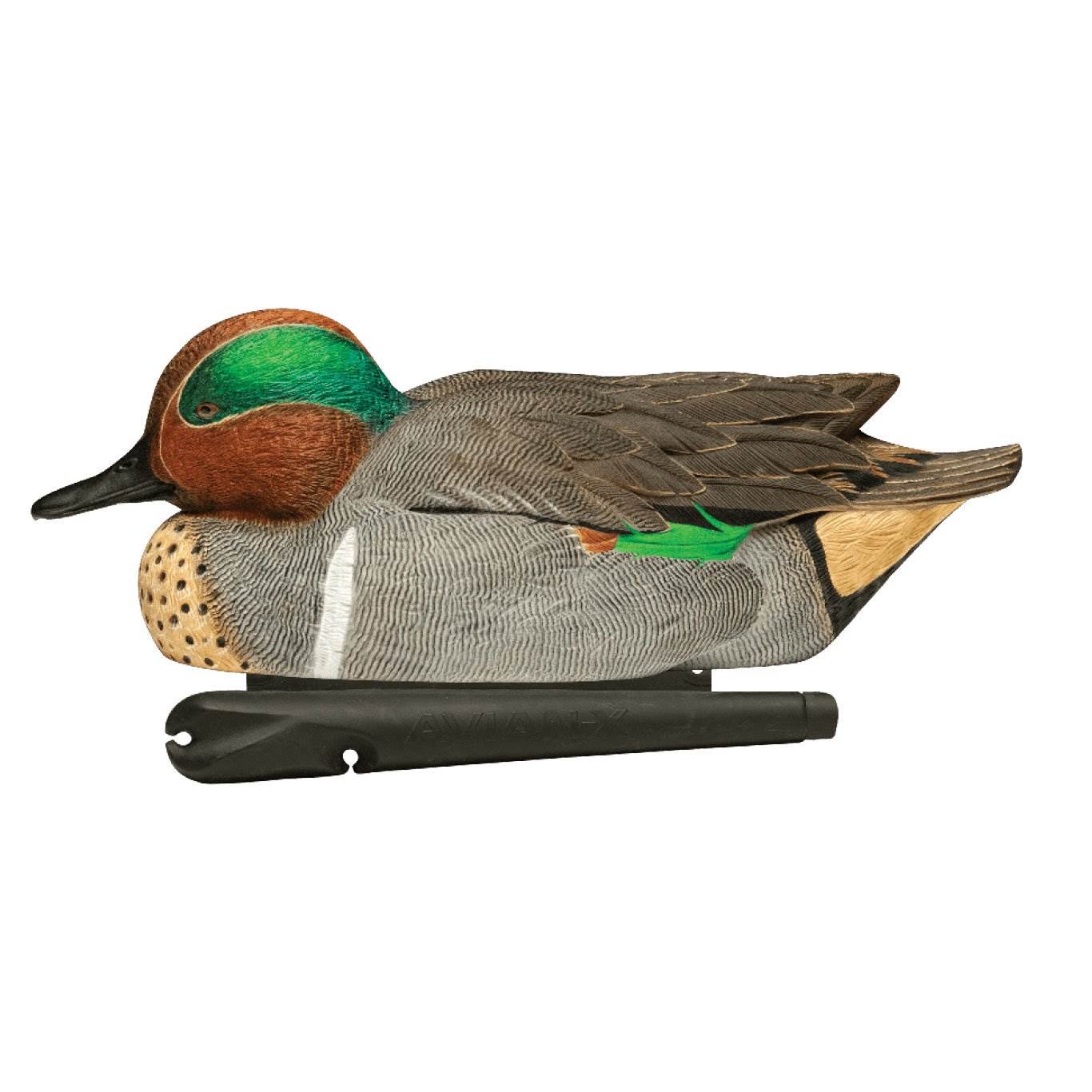 Avian X Top Flight Green Wing Teal Duck Hunting Floater Decoy, Green (6 Pack)