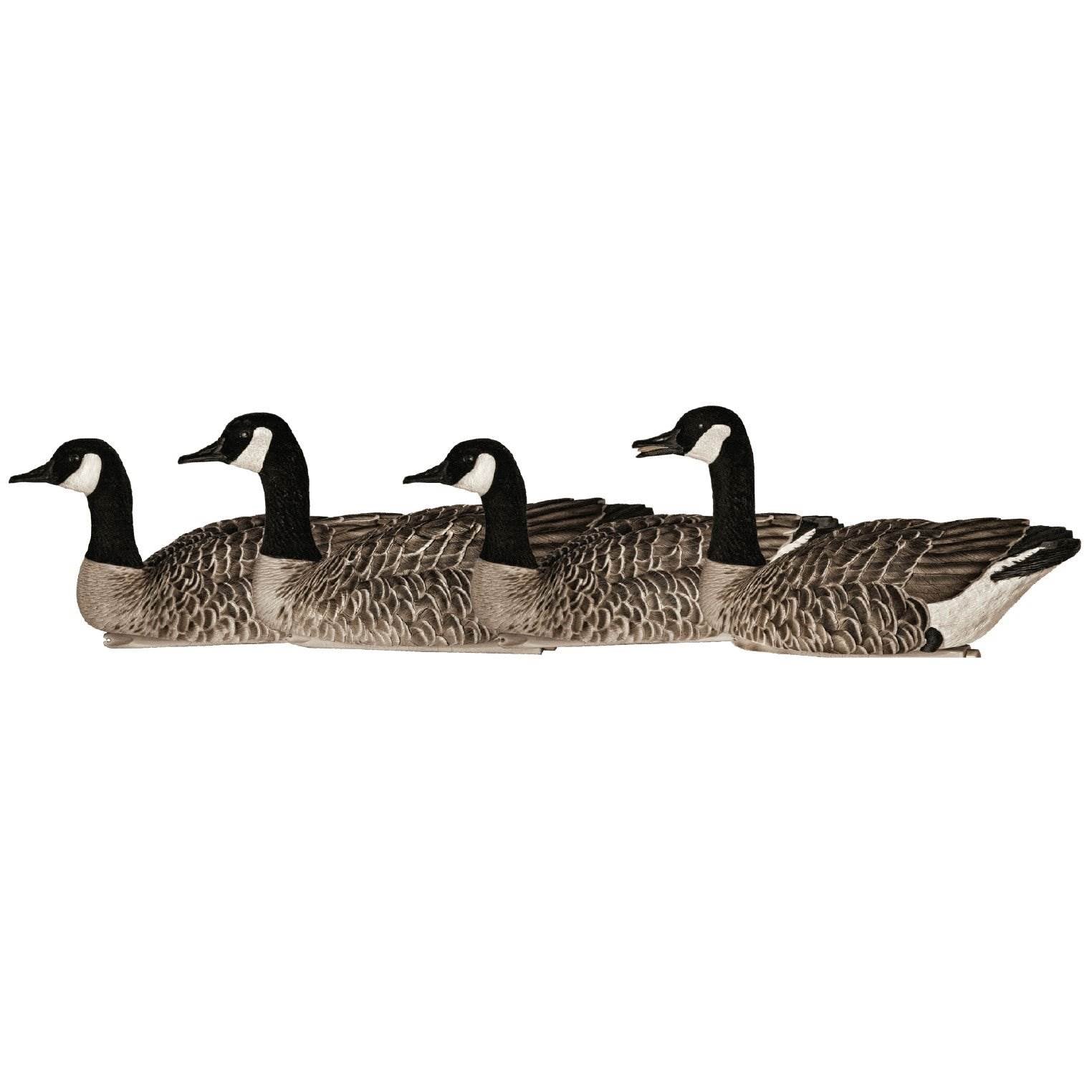 Avian-X Top Flight Canadian Goose Honkers Decoys (4 Pack) (Open Box)