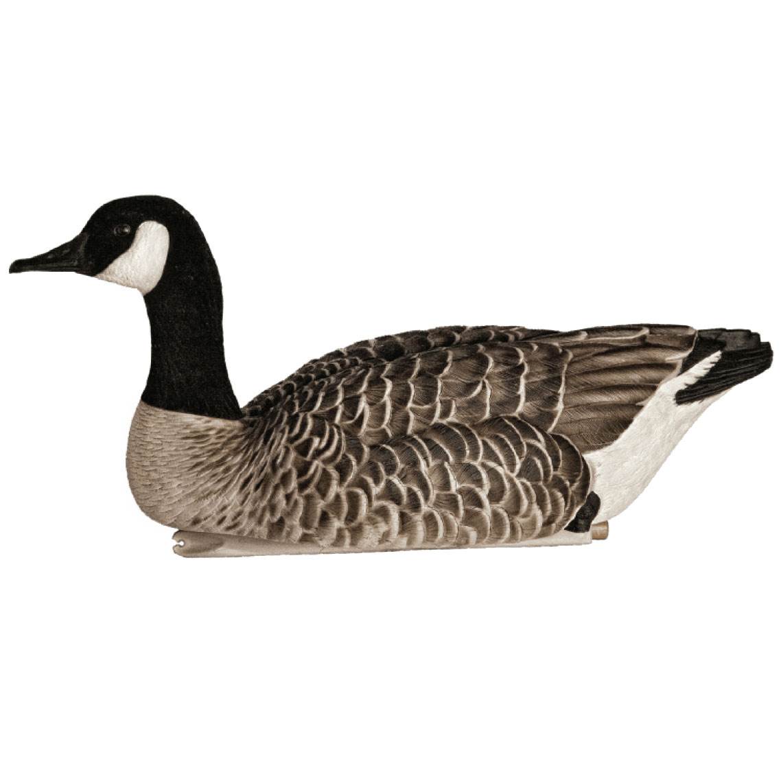 Avian-X Top Flight Canadian Goose Honkers Decoys (4 Pack) (Open Box)