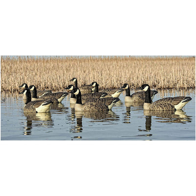 Avian-X Top Flight Canadian Goose Honkers Decoys (4 Pack) (Open Box)