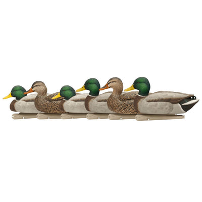 Avian-X Top Flight Open Water Mallards Hunting Floater Decoys, Brown (6 Pack)