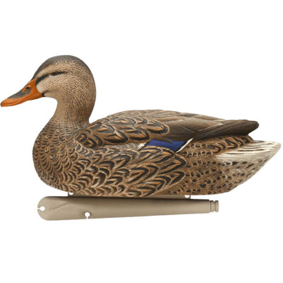 Avian-X Top Flight Open Water Mallards Hunting Floater Decoys, Brown (6 Pack)