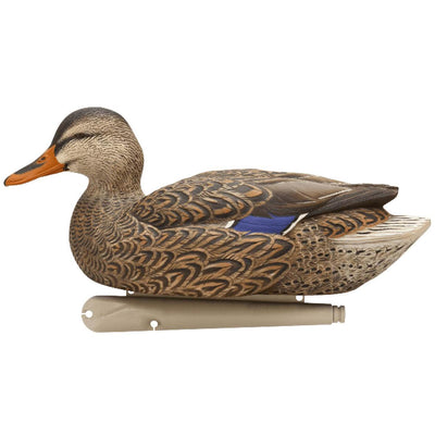 Avian-X Top Flight Open Water Mallards Hunting Floater Decoys, Brown (6 Pack)
