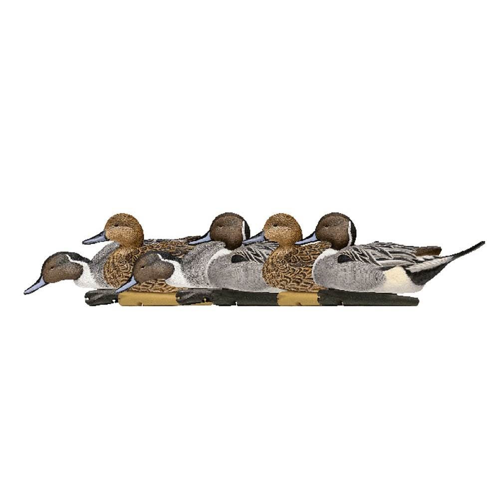Avian X Top Flight Pintail Duck Waterfowl Hunting Floater Decoys, Brown (6 Pack)