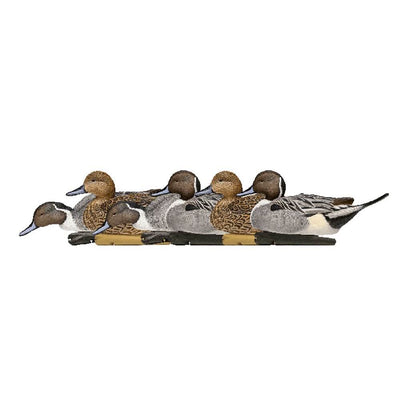 Avian X Top Flight Pintail Duck Waterfowl Hunting Floater Decoys, Brown (6 Pack)