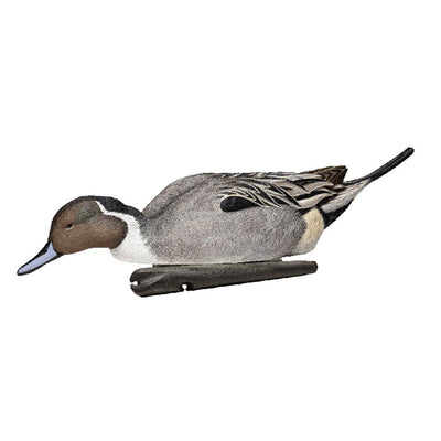 Avian X Top Flight Pintail Duck Waterfowl Hunting Floater Decoys, Brown (6 Pack)