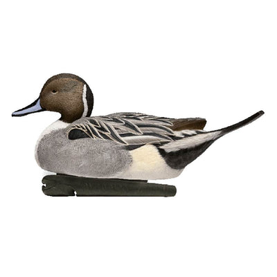 Avian X Top Flight Pintail Duck Waterfowl Hunting Floater Decoys, Brown (6 Pack)