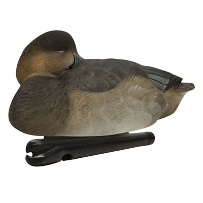 Avian X Top Flight Floating Redhead Duck Waterfowl Hunting Decoys (6 Pack)