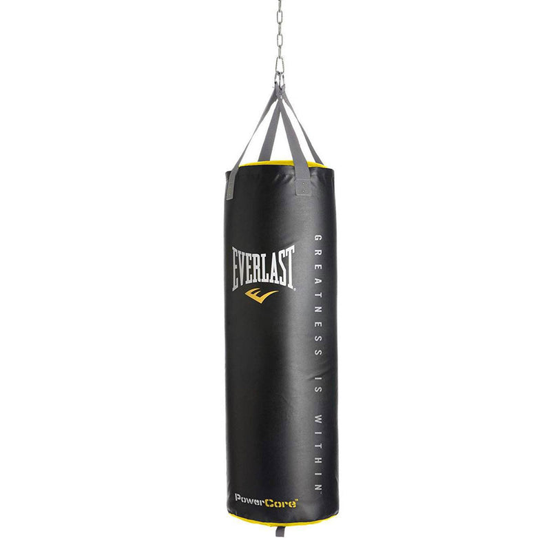 Everlast Dual Bag Stand, Nevatear 100 Pound Heavy Bag, and Pro Style Gloves