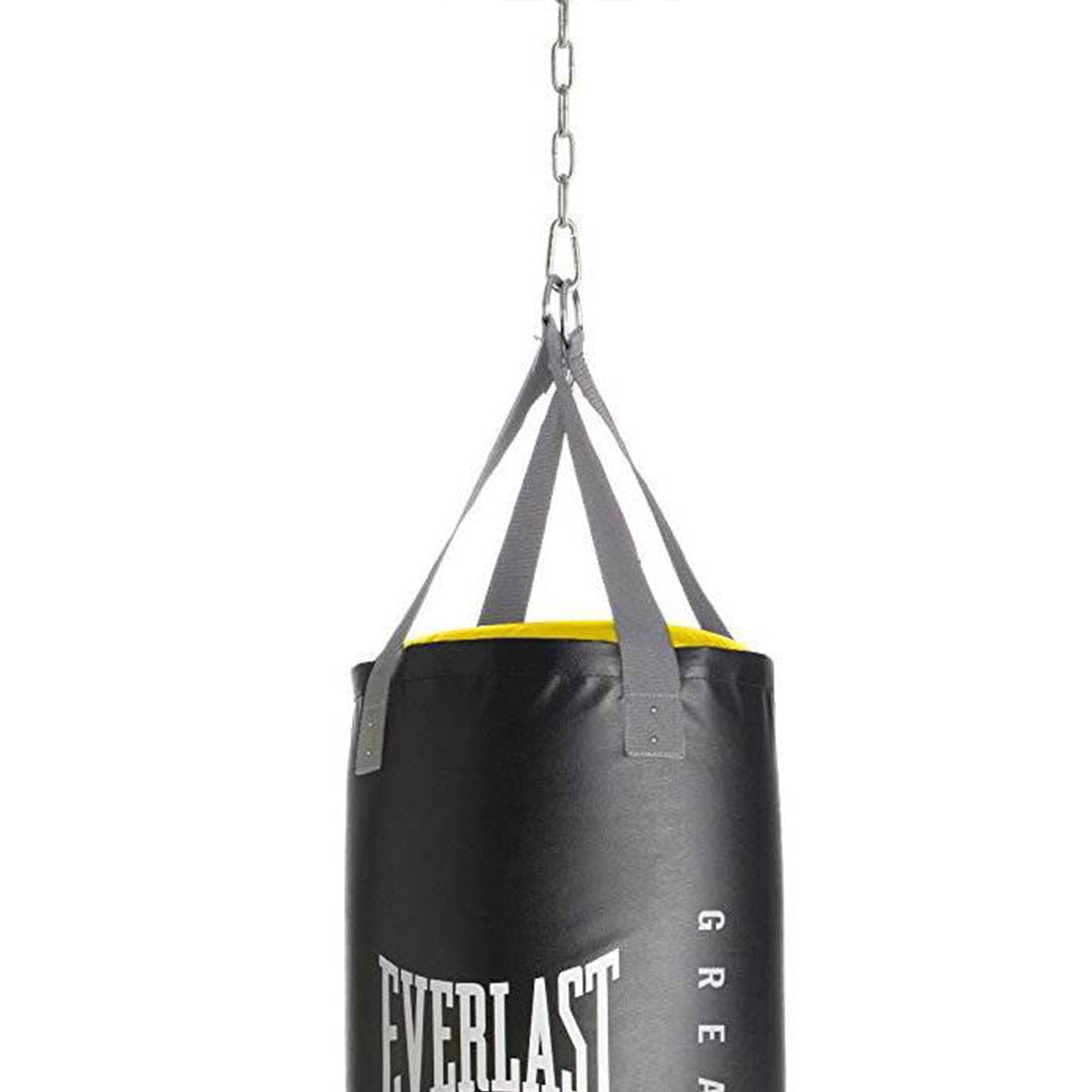 Everlast Dual Bag Stand, Nevatear 100 Lb Heavy Bag, & Pro Style Training Gloves