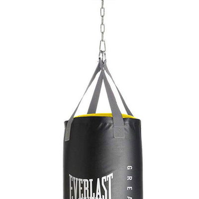 Everlast Dual Bag Stand, Nevatear 100 Lb Heavy Bag, & Pro Style Training Gloves