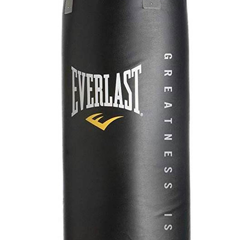 Everlast Dual Station Bag Stand and Powercore NevaTear 80 Pound Hanging Bag