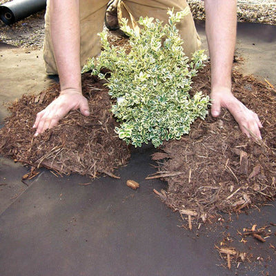 DeWitt Weed Barrier Pro Landscape Fabric in Brown 3' x 100' Refill (2 Pack) - VMInnovations