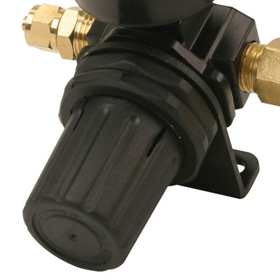 Viair 400P-RV Automatic Portable Air Compressor Kit & Tank Pressure Regulator