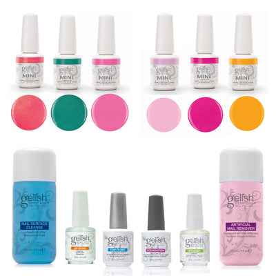 Gelish Full Size Basix Care Kit Remover & Cleanser and Neon Street Beat 6 Colors