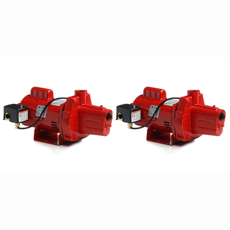 Red Lion RJS-100-PREM 1HP Cast Iron Thermoplastic Shallow Well Jet Pump (2 Pack)