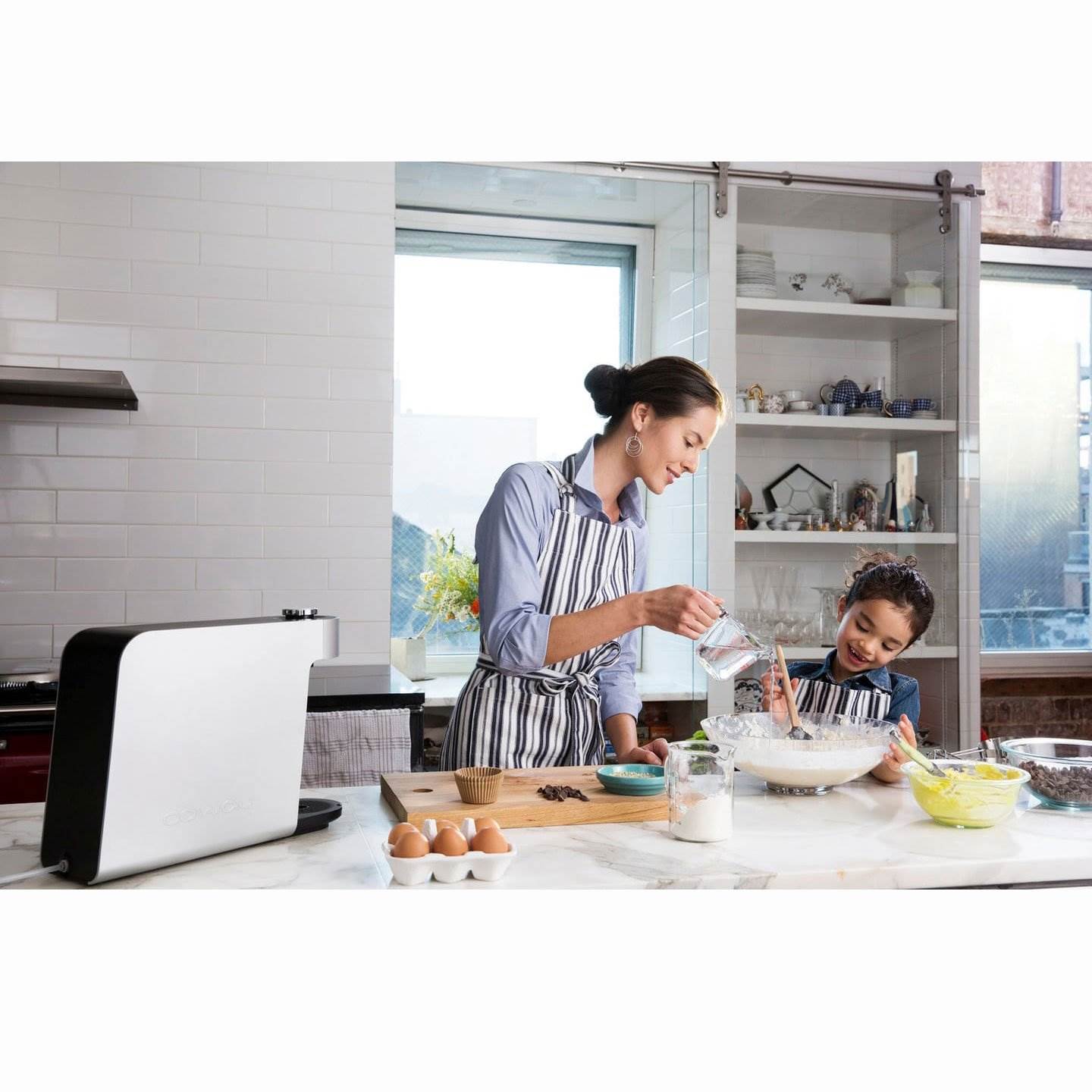 Coway Aquamega 100 Mounting or Counter Top Home Water Purifier, Black (2 Pack)
