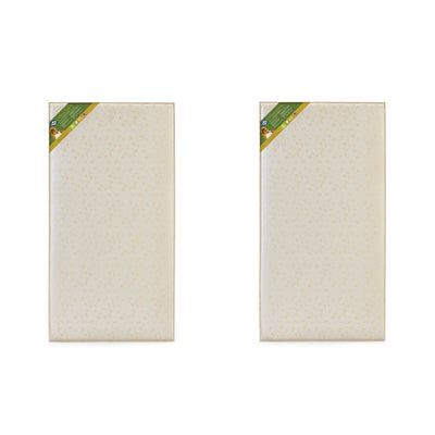 Sealy Infant Soybean Plush Foam Waterproof Crib Nursery Mattress Pad (2 Pack)